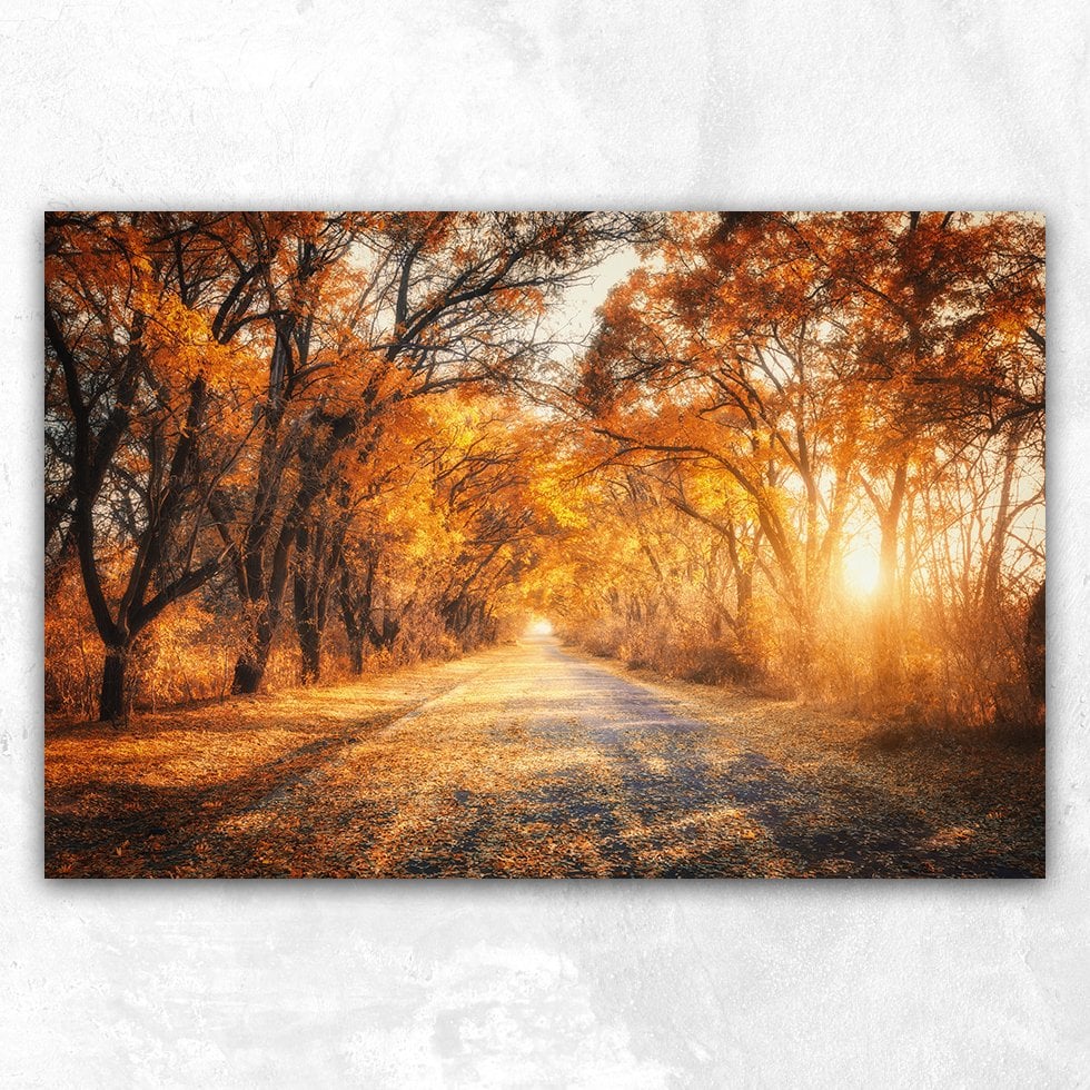 Sonbahar kır Yolu Soyut Kanvas Tablo