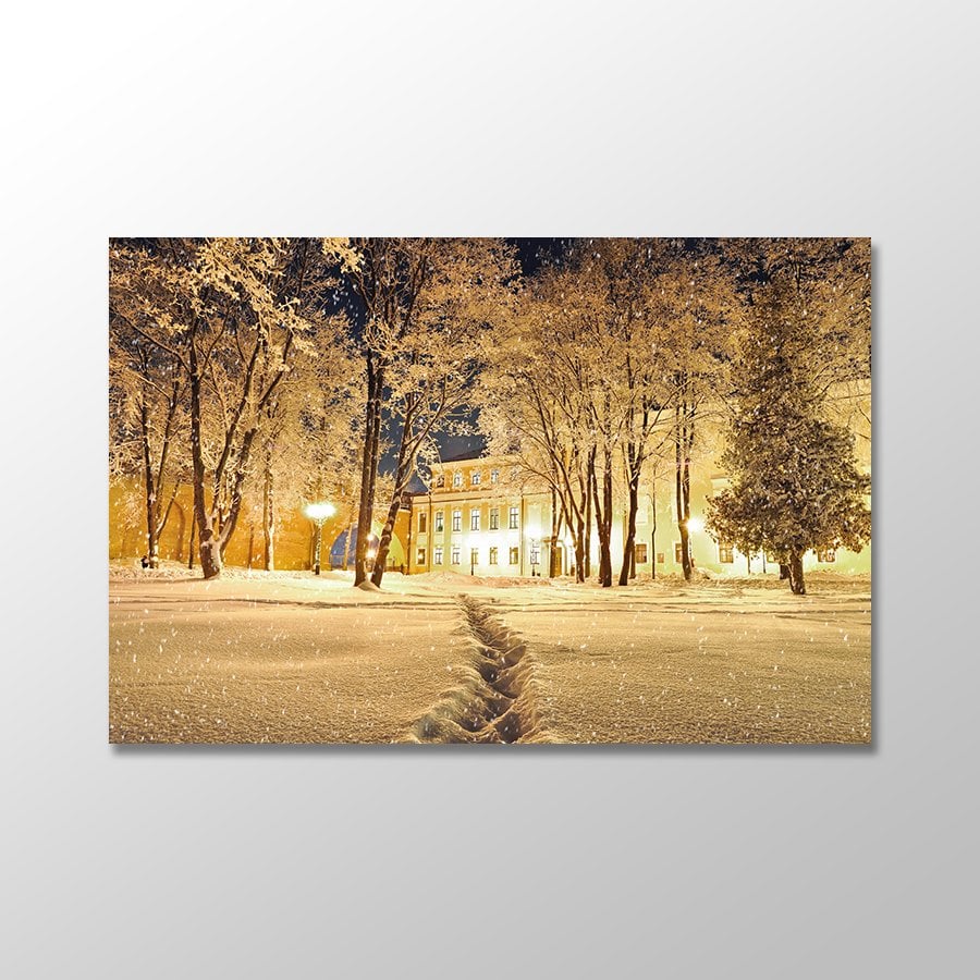 Kış Manzarası, Gece Donmuş Ağaçlar Kanvas Tablo - MTK914